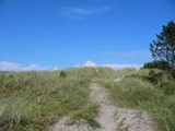 Aug. 2008.