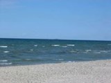 Aug. 2008.